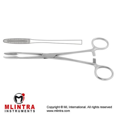 Gross-Maier Dressing Forcep Straight - With Ratchet Stainless Steel, 20.5 cm - 8"